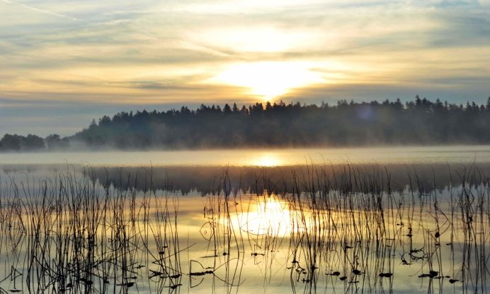 lake winter